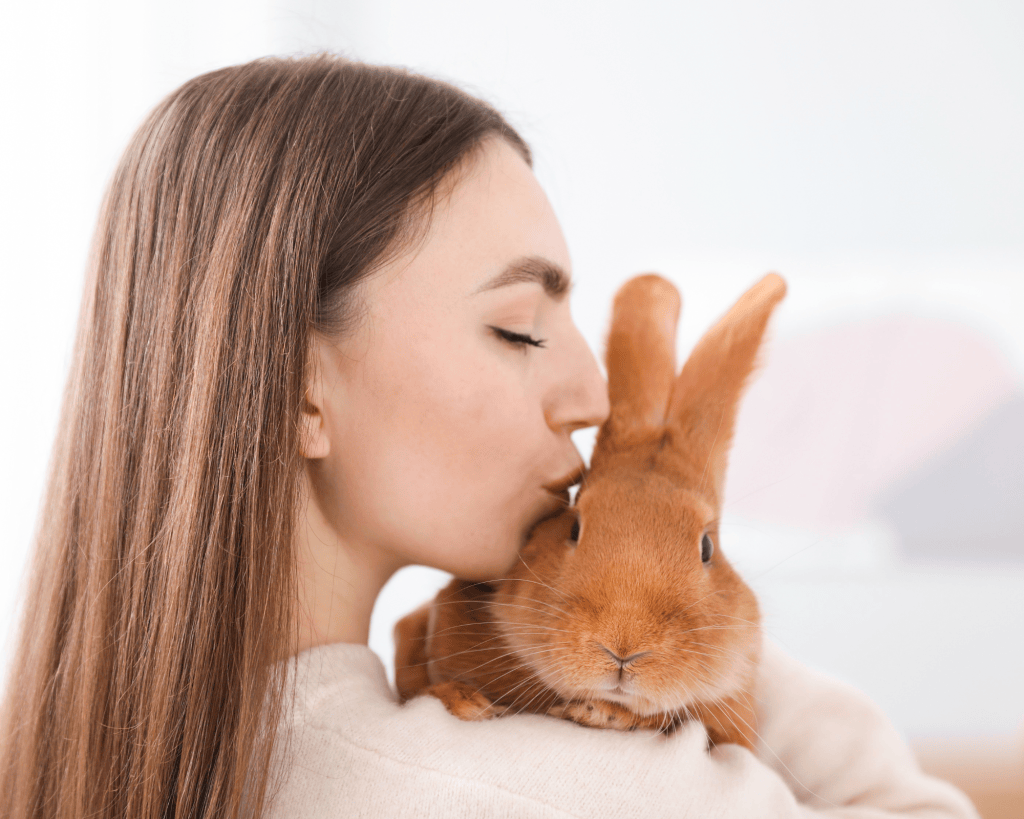 Mon lapin me fait-il confiance ? Les signes d&rsquo;un lien&nbsp;précieux